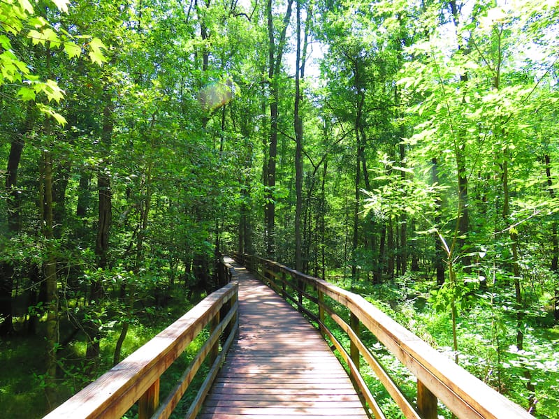 Congaree National Park