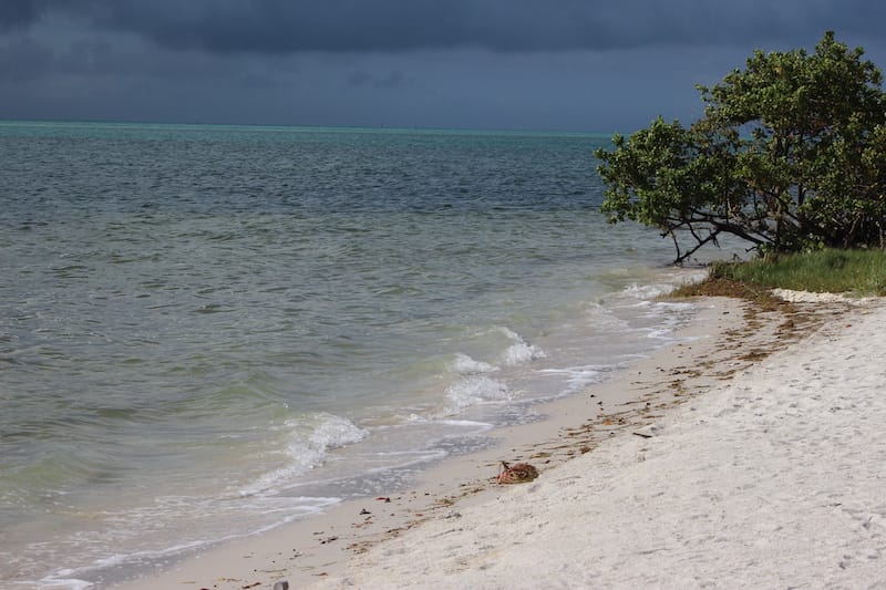 Curry Hammock State Park