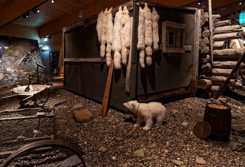 Inside the Svalbard Museum