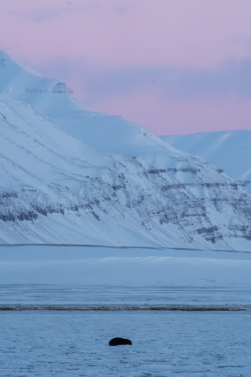 Scenes from my fjord tour in February