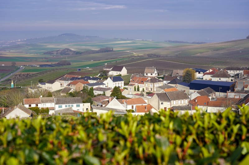 February in the Champagne region