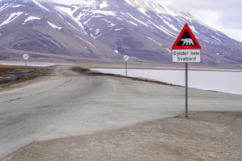 Svalbard during the polar summer (and at peak midnight sun!)