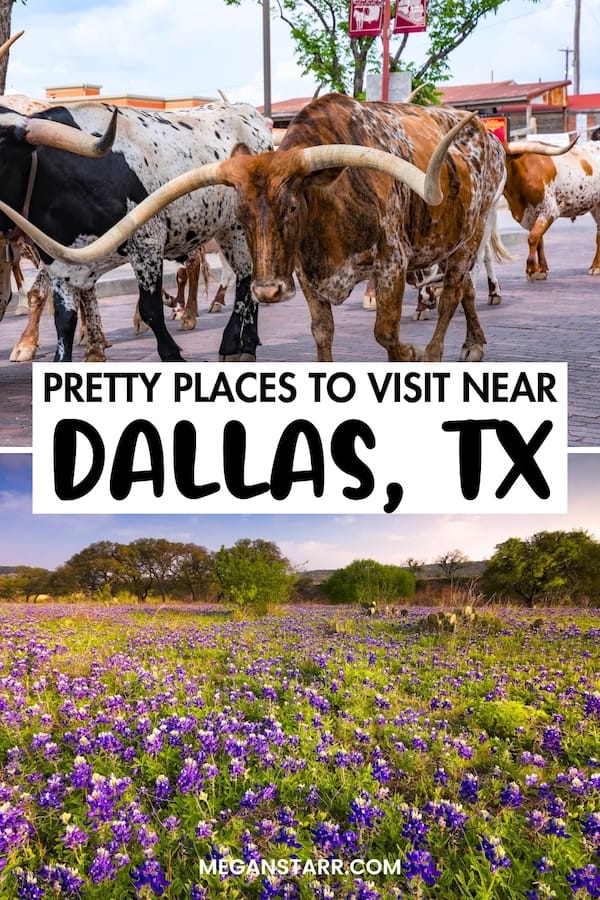 Are you looking for the best day trips from Dallas, Texas? This guide includes some of my top picks – from jaw-dropping nature to cute villages… and more! Click to learn more! | Dallas day trips | Places to visit near Dallas | Places near Dallas | Dallas itinerary | Things to do in Dallas | What to do in Dallas | Villages Near Dallas | Weekend Breaks from Dallas | Day tours from Dallas