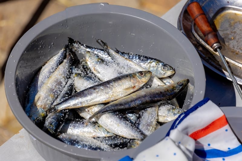 Fresh Sardines in Porto