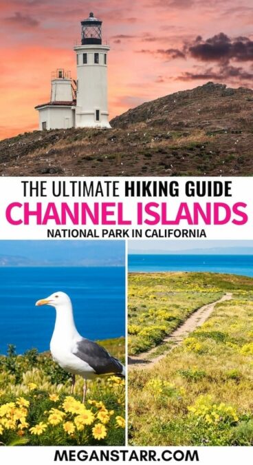 Get ready to explore the best hikes in Channel Islands National Park! 🥾 Whether you're looking for a short trek like the Cavern Point Loop or a longer adventure like Scorpion Canyon, these trails offer stunning ocean views and untouched landscapes. Perfect for nature lovers!