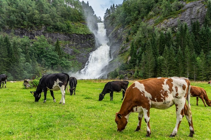 Huldefossen