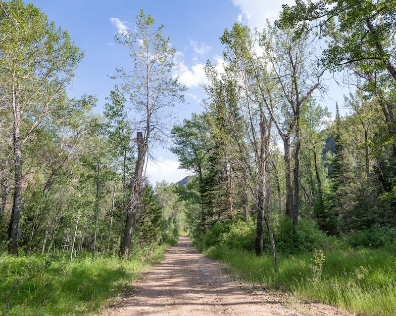 Jarbidge