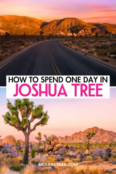 Are you looking for the best way to spend one day in Joshua Tree? This is the ultimate 1-day Joshua Tree itinerary, from what to do to where to eat (and even stay). I explain how to maximize your time in Joshua Tree without compromising any of the fun! Click to learn more. Visit Joshua Tree | Things to do in Joshua Tree | What to do in Joshua Tree | Itinerary Joshua Tree | Day in Joshua Tree | Day trip to Joshua Tree | Travel to Joshua Tree | Joshua Tree sightseeing | Joshua Tree restaurants | Joshua Tree hotels | Where to stay in Joshua Tree | Hotels in Joshua Tree | Joshua Tree travel guide | Joshua Tree 1-day itinerary | Joshua Tree one-day itinerary | Joshua Tree day trip