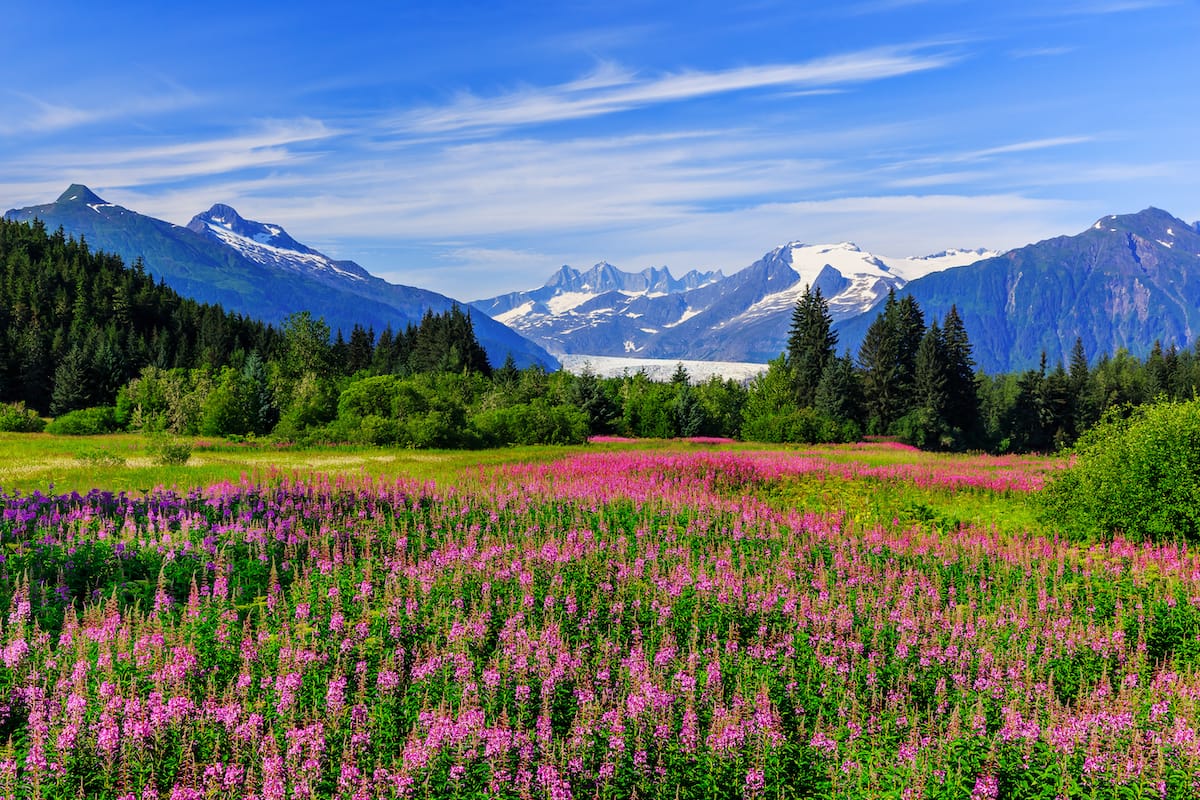 Juneau in August