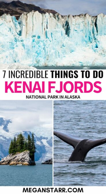 Is Kenai Fjords National Park on your Alaska bucket list? This is a guide of things to do in Kenai Fjords National Park - from glaciers to whales and beyond! | Exit Glacier | Alaska national parks | Alaska glaciers | Visit Kenai Fjords | Alaska whale watching | Kenai Fjords hiking | Kenai Fjords cruises | Kenai Fjords boat trips | Things to do in Seward | Seward Alaska