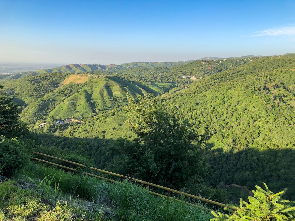 Greener view from another angle
