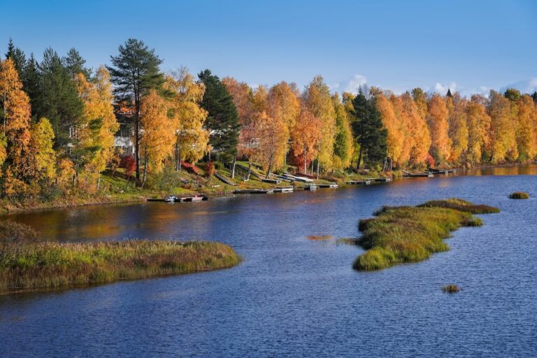 Lapland in autumn travel guide | a river with trees along it with fall foliage