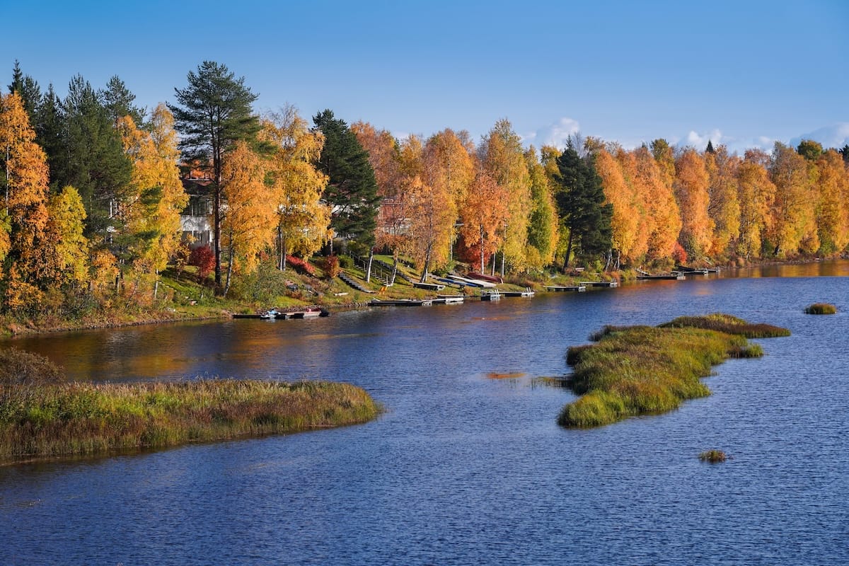 Lapland in autumn travel guide | a river with trees along it with fall foliage