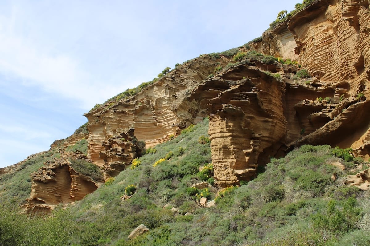 Lobo Canyon in Channel Islands National Park