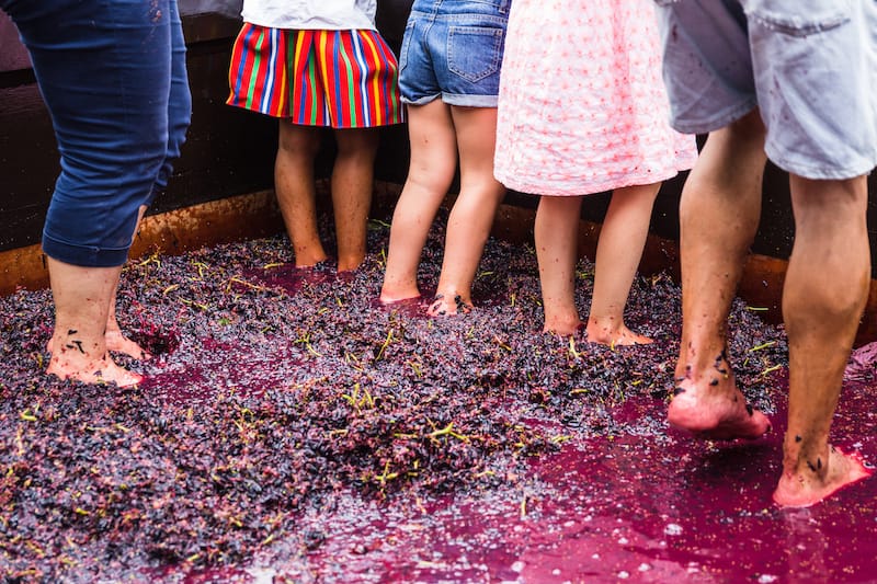 Madeira Wine Festival