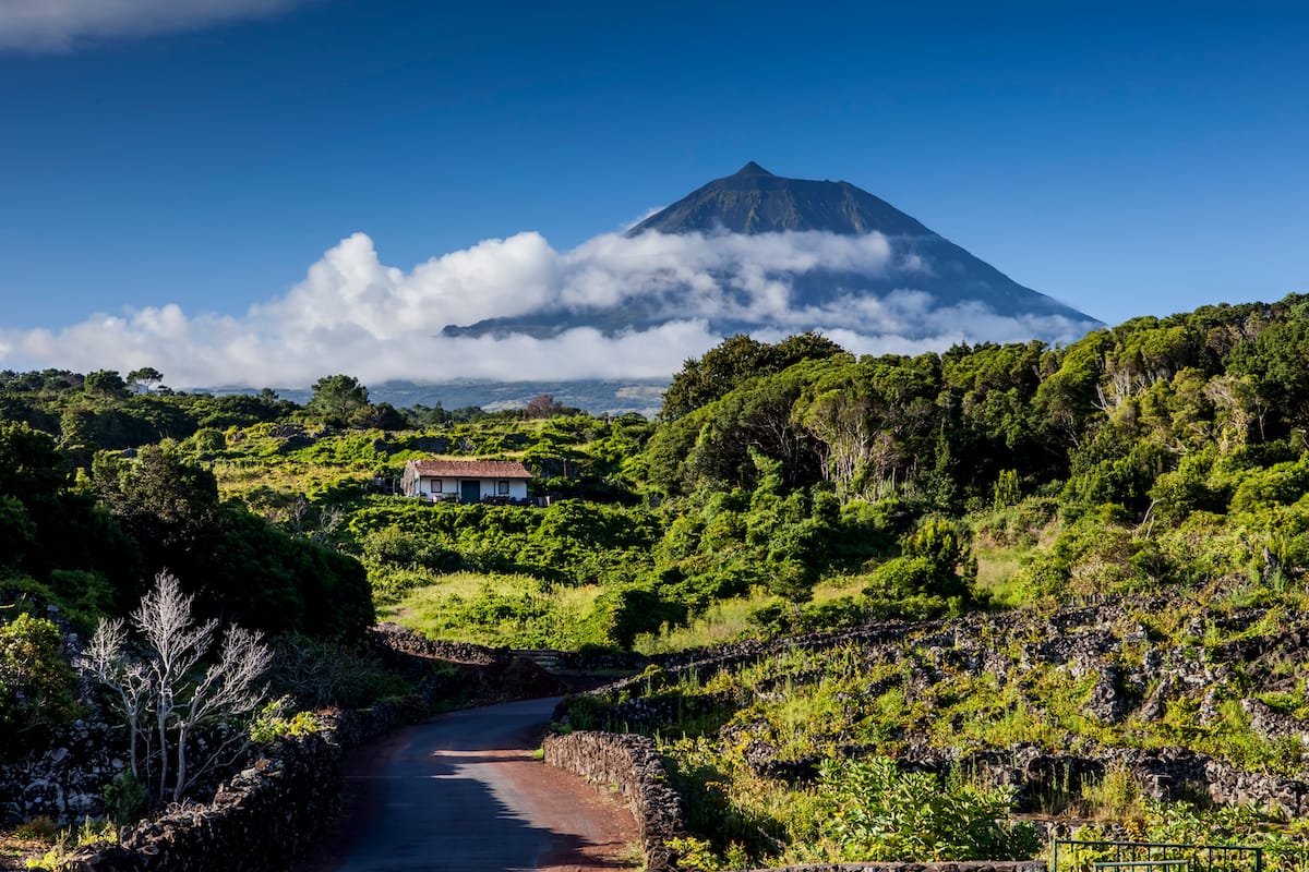 Mount Pico