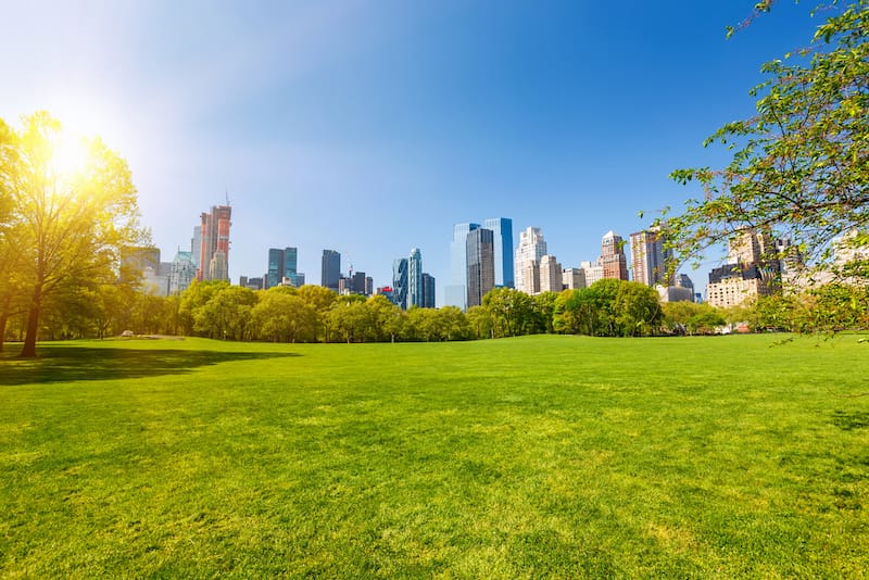 New York City in July