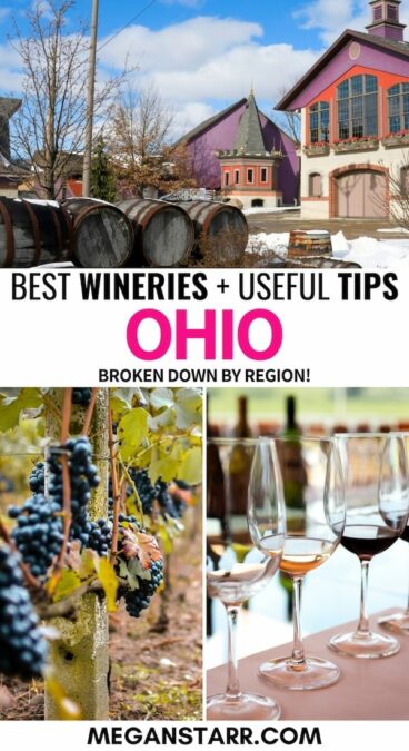 Wine in Ohio is not nearly talked about enough! This guide lists great Ohio wineries and includes a map to the best wineries in Ohio to add to your bucket list! | Ohio wine | Ohio vineyards | Ohio winery | Ohio wine trail | Ohio wine tour | Ohio wine country | Winery ohio | Best winery in Ohio | Columbus Ohio winery | Cincinnati Ohio winery | Geneva Ohio winery | Northeast Ohio winery