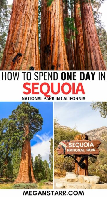 Curious about how to spend one day in Sequoia National Park? This guide gives you tips for things to do and how to plan your Sequoia National Park itinerary. | Sequoia National Park hikes | Sequoia National Park camping | Sequoia National Park winter | Sequoia National Park one day itinerary | sequoia and kings canyon
