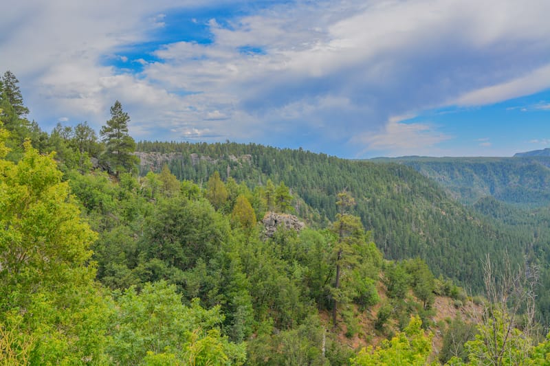 Oak Creek Canyon Vista