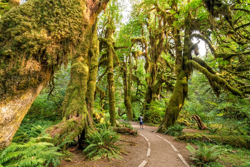 Olympic National Park