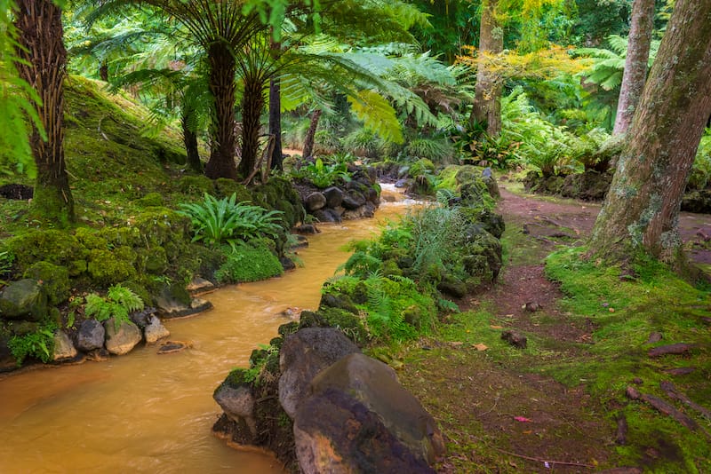 Parque Terra Nostra