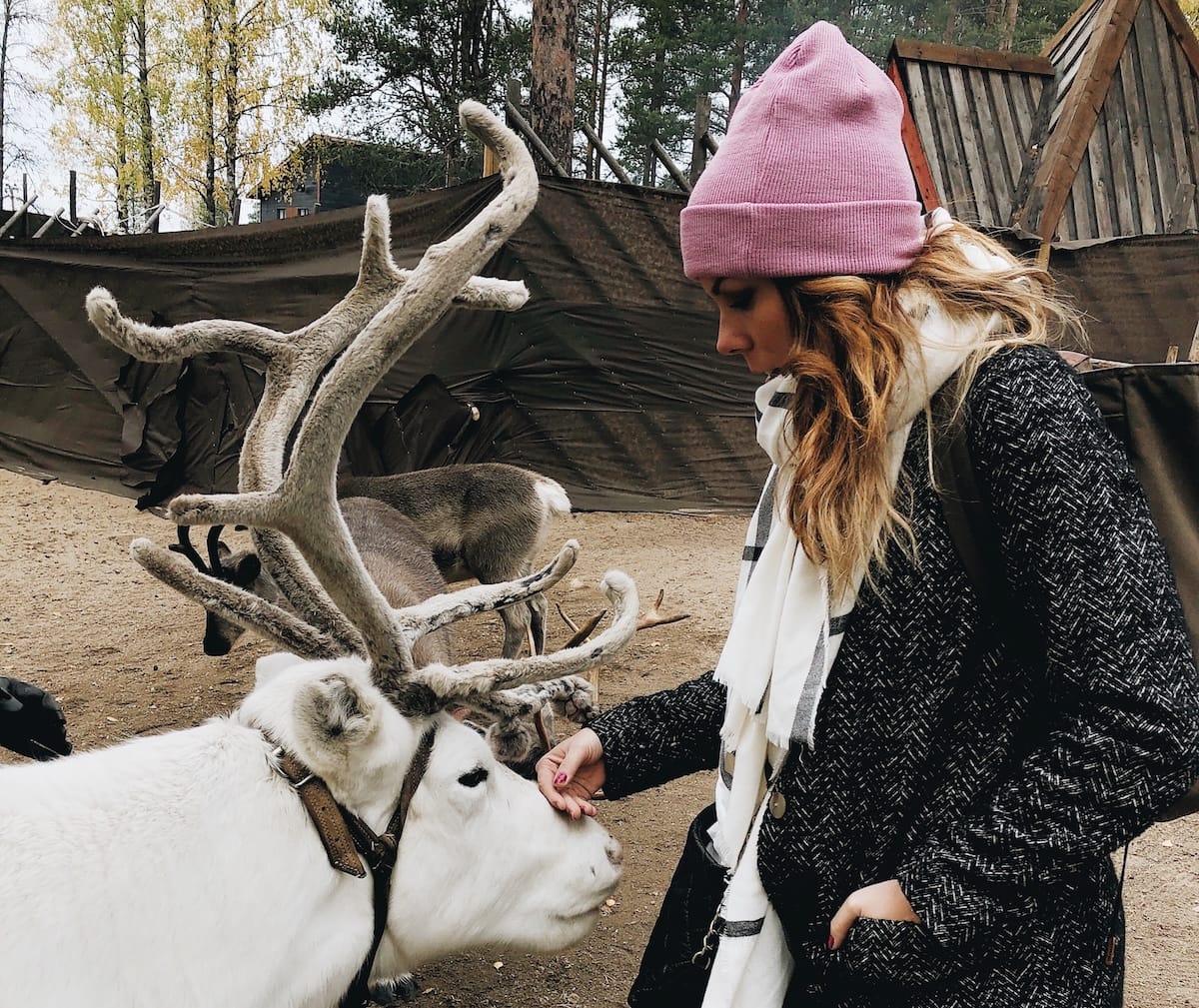 a woman petting a reindeer in lapland finland