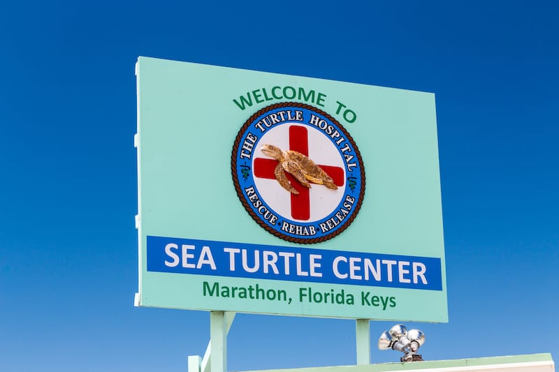 Sea Turtle Center in Marathon - Ken Wolter - Shutterstock