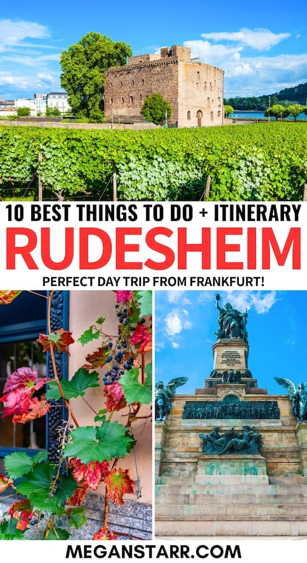 10 Best Things to Do in Rudesheim, Germany (from a Local!)