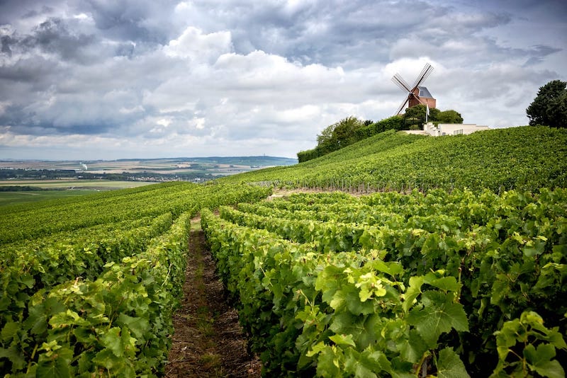 Champagne day trip from ParisThese views are reason alone to take a Champagne day trip from Paris