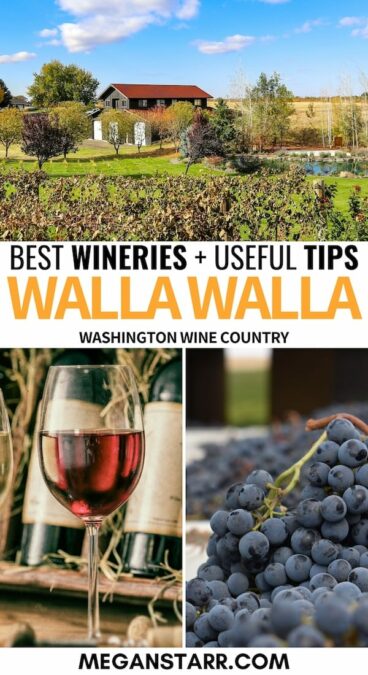 Do you have plans to check out the best Walla Walla wineries? This guide leads you to the finest wineries in Walla Walla Valley - including many tasting rooms! | Walla walla wine tours | Wine in Washington | Washington wine | Walla Walla wine | Walla Walla Valley wine | Washington vineyards | Walla walla vineyards