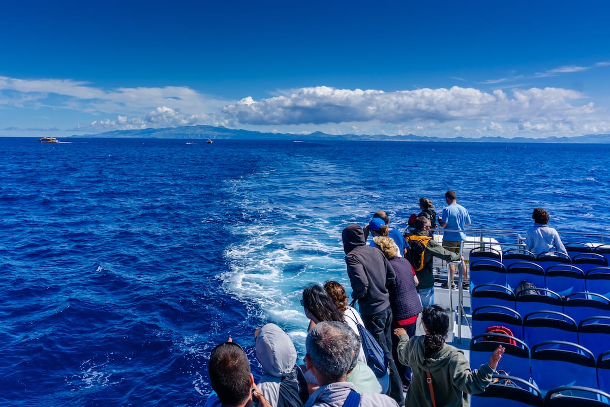 Whale watching boat in the Azores