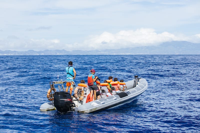 Whale watching in the Azores on a RIB boat