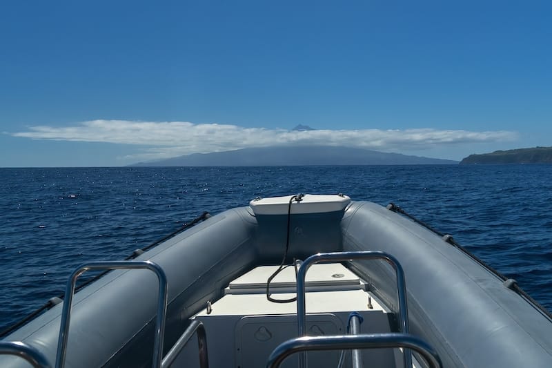 Whale watching off of Pico in a RIB boat