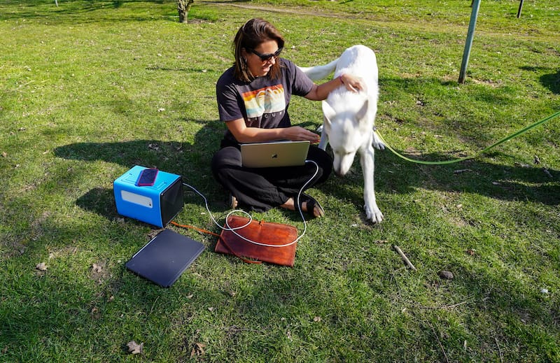 When I work outside, the dogs greet me :)