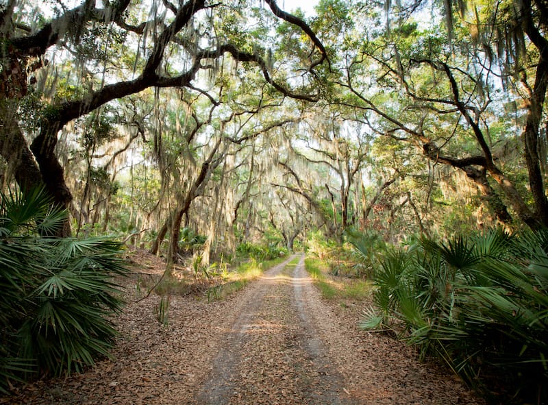 St. Simons