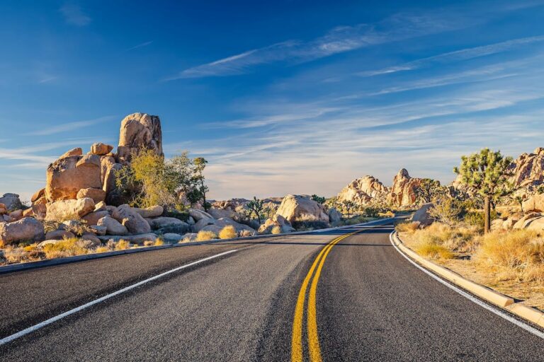 Palm Springs to Joshua Tree Road Trip Itinerary (Best Stops + FAQ)