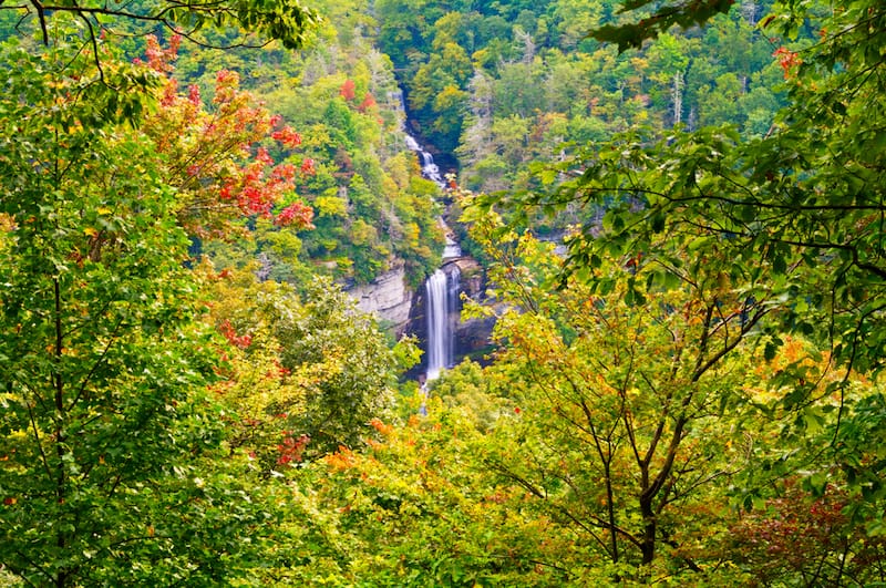 Raven Cliff Falls