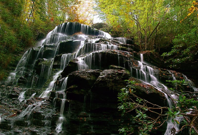 Yellow Branch Falls