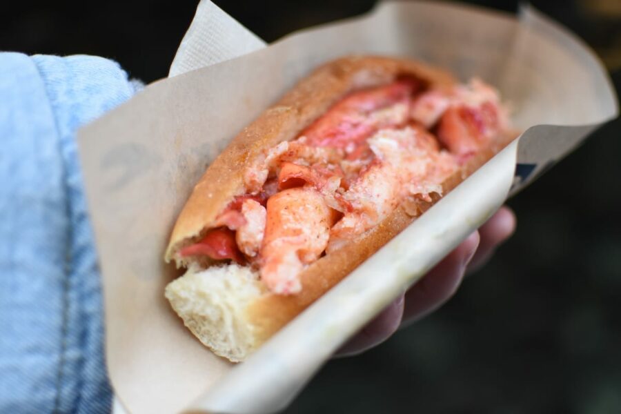 Maine lobster roll guide