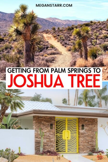 Are you looking to head from Palm Springs to Joshua Tree on a road trip? This guide serves as an itinerary - highlighting all the best stops along the way! | Things to do in California | Joshua Tree day trip | Joshua Tree to Palm Springs | Things to do in Palm Springs | Palm Springs day trips | What to do in Palm Springs | Visit Palm Springs | How to get to Joshua Tree National Park | One day in Joshua Tree from Palm Springs
