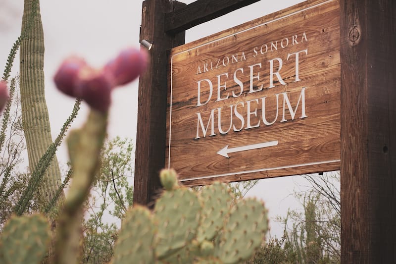 Arizona-Sonora Desert Museum - University of College - Shutterstock