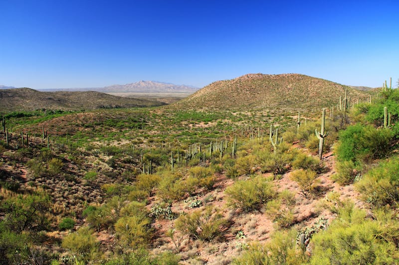 Colossal Cave Mountain Park