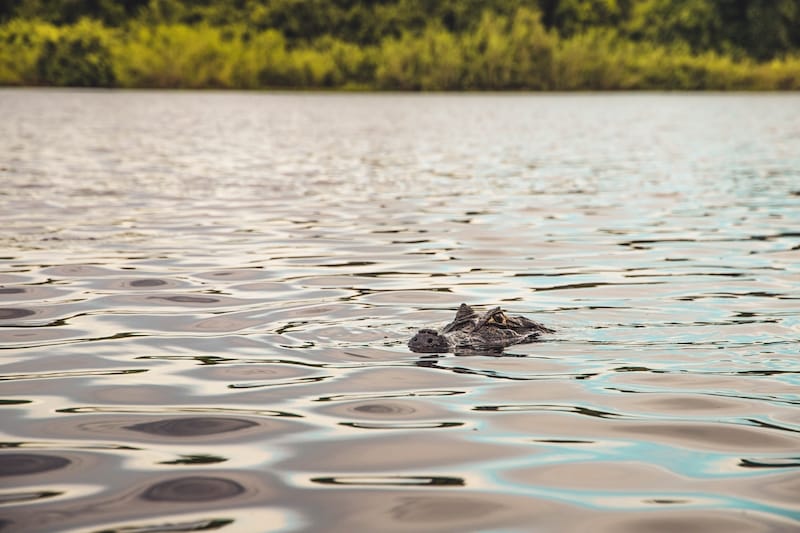 Crocodile Lake National Wildlife Refuge