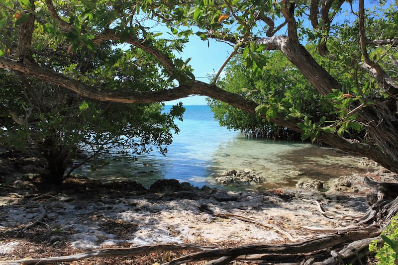 Indian Key Historic State Park