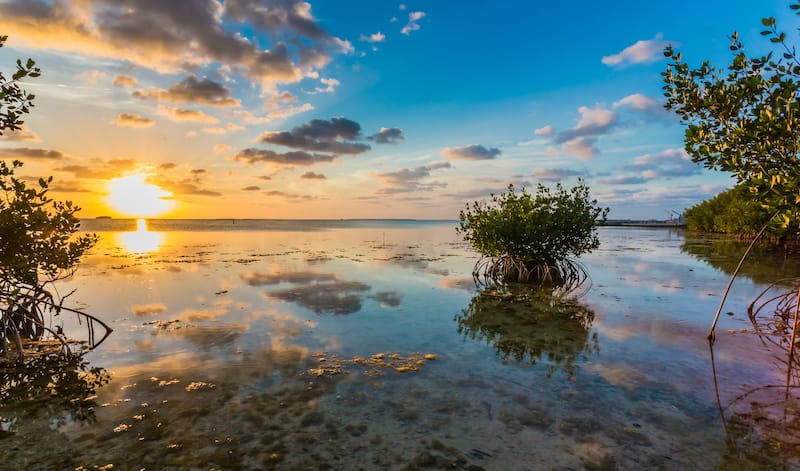 Key Largo and Islamorada day trip