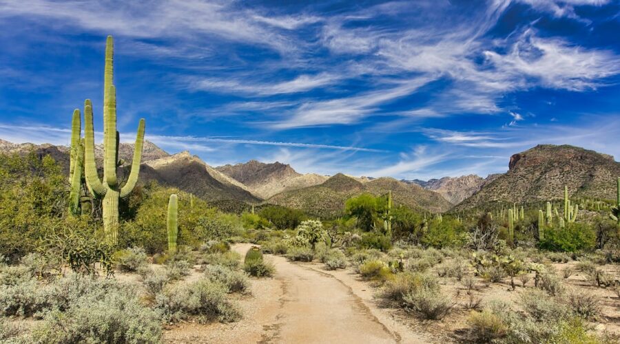 Sabino Canyon