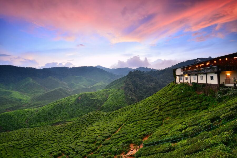 Cameron Highlands