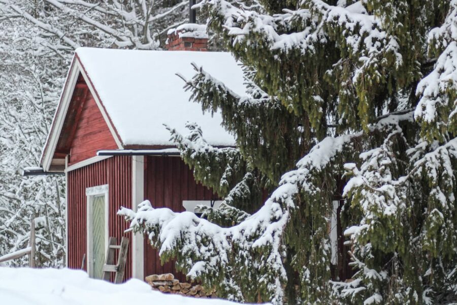 Nuuksio National Park in winter