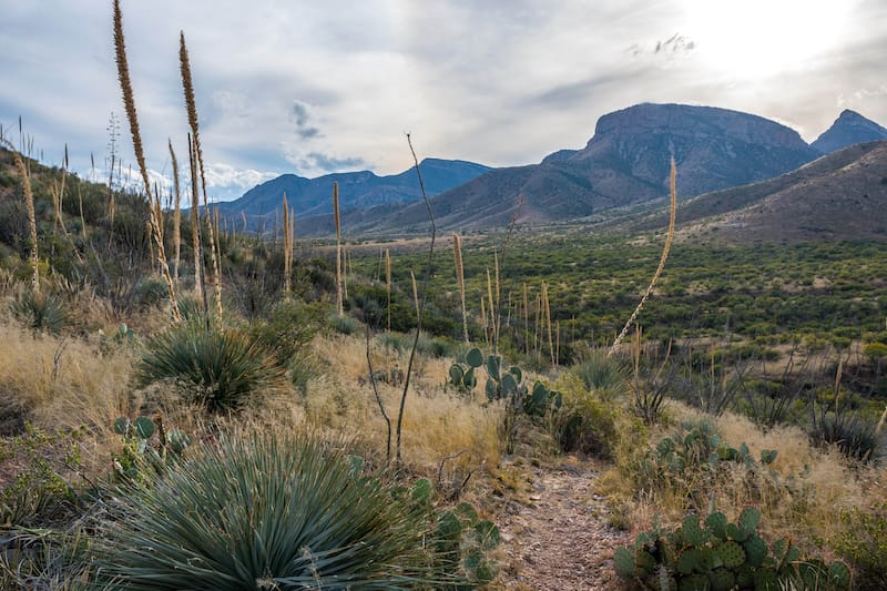 Kartchner Caverns